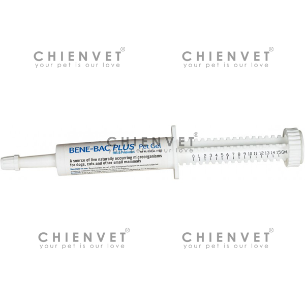 Bene-Bac Plus 15gr- men tiêu hoá cho chó mèo | nanavet.com