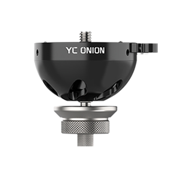 YC Onion Bown Head RB75