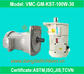 dong-co-100w-cho-bang-tai
