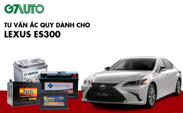 Bình ắc quy xe Lexus ES300: Bảng giá và thông số kỹ thuật