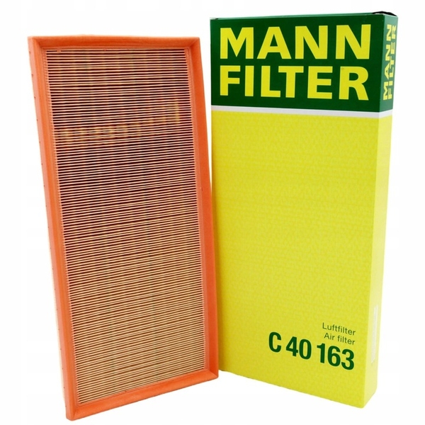 Lọc gió động cơ Mann C 40 163
