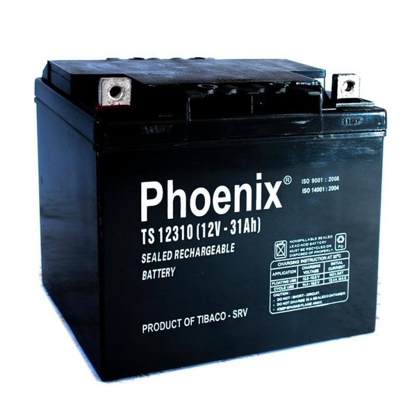Ắc quy Phoenix 12V 31AH TS12310