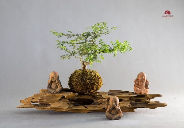 Tiểu Cảnh Thiền MN0083