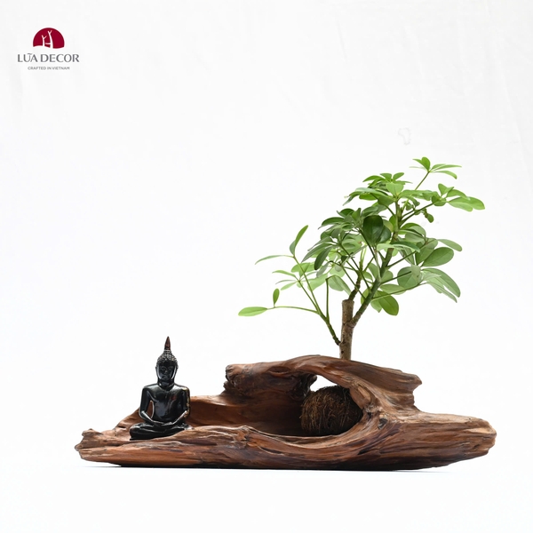 TIỂU CẢNH TCNA0085