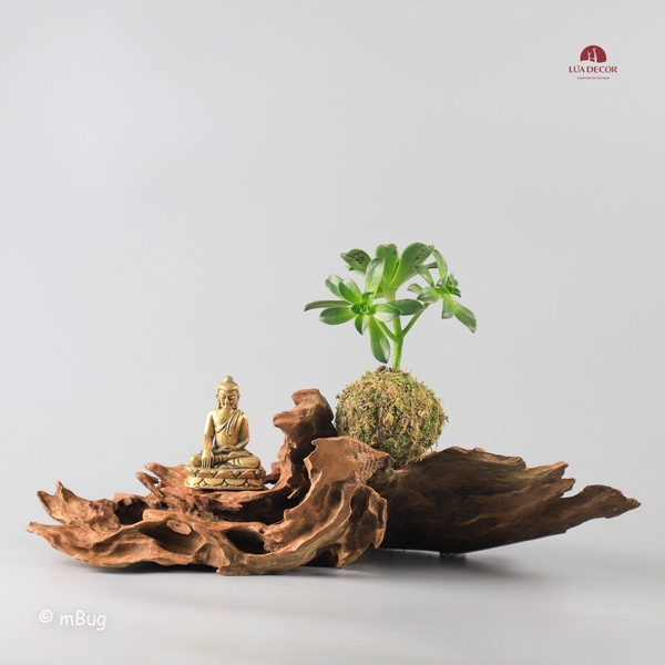 Tiểu Cảnh Thiền MN0118