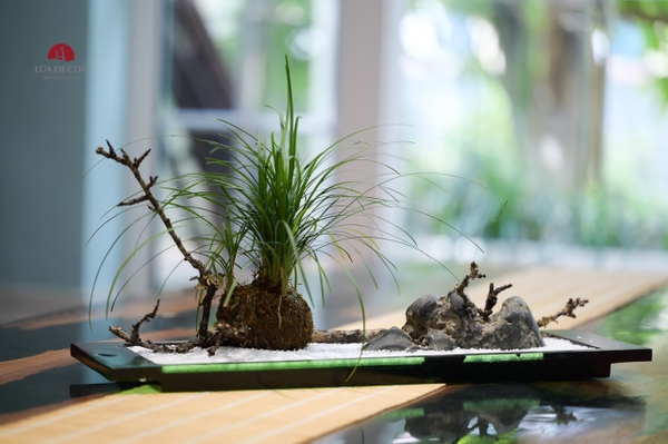 Tiểu cảnh MN0803