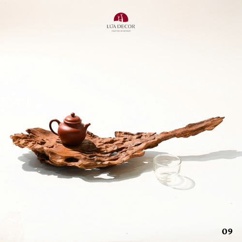 TIỂU CẢNH THIỀN VÀNG TÂM TCAN09