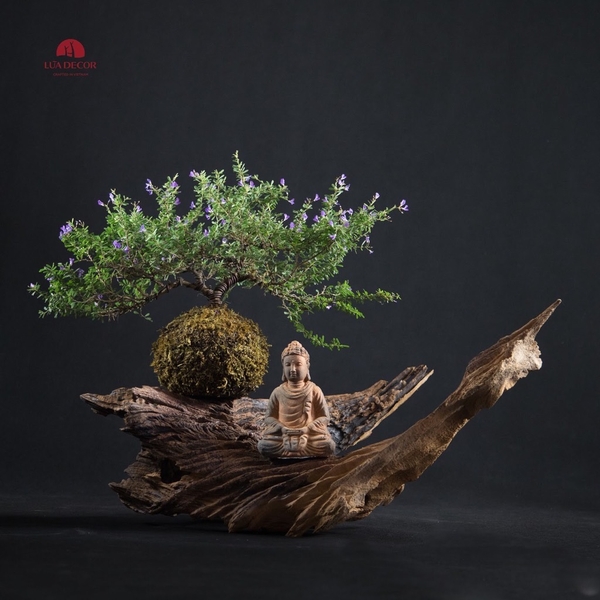 Tiểu Cảnh Thiền MN0084