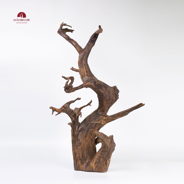 Tiểu Cảnh Thiền MN0077