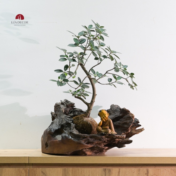 TIỂU CẢNH MN0731