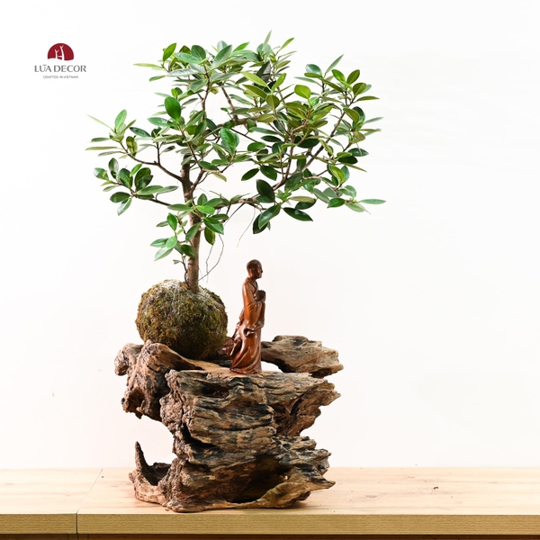 TIỂU CẢNH MN0473