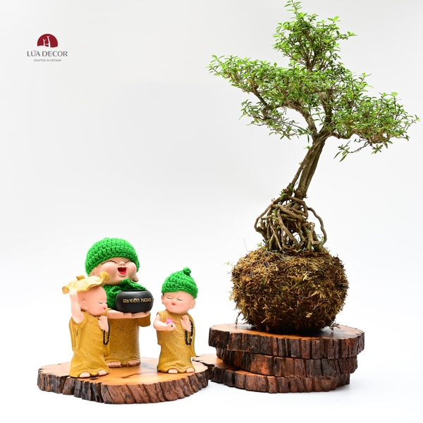 TIỂU CẢNH THIỀN MN0767