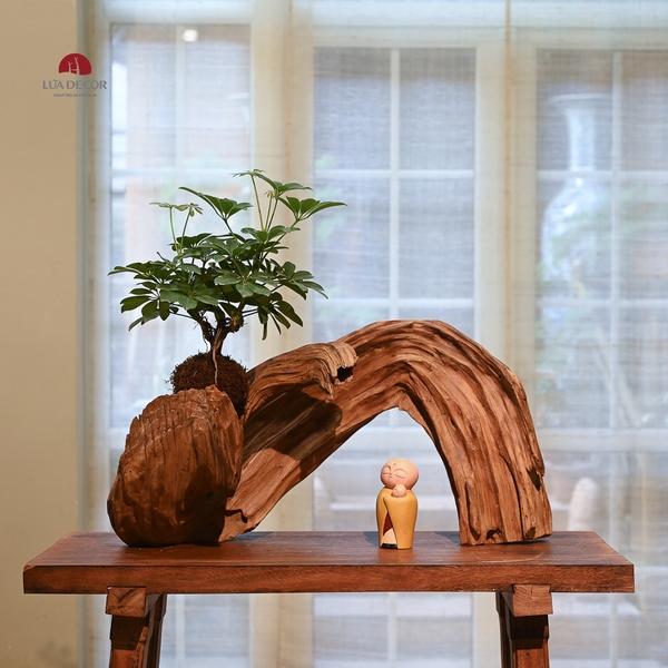 TIỂU CẢNH THIỀN MN0827