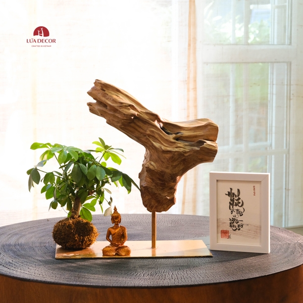 TIỂU CẢNH MN0741