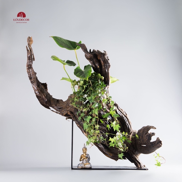 Tiểu cảnh thiền MN0019