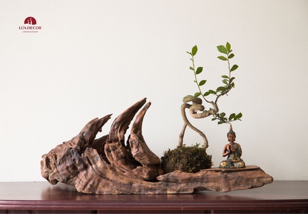 Tiểu Cảnh Thiền MN0064
