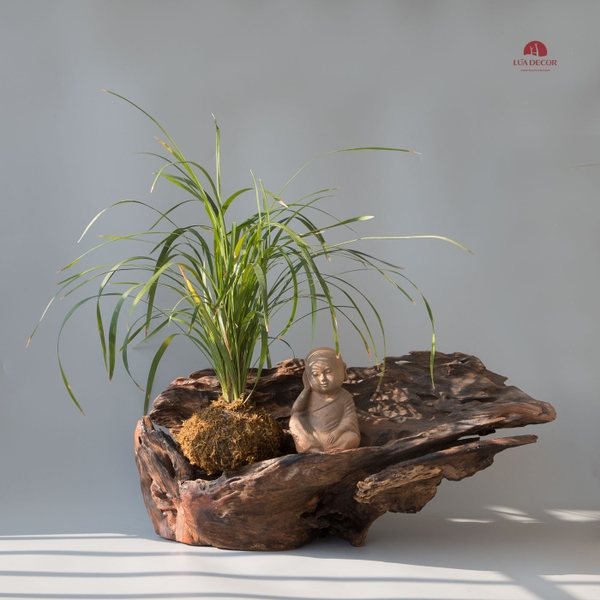 Tiểu Cảnh Thiền Lim  MN0013