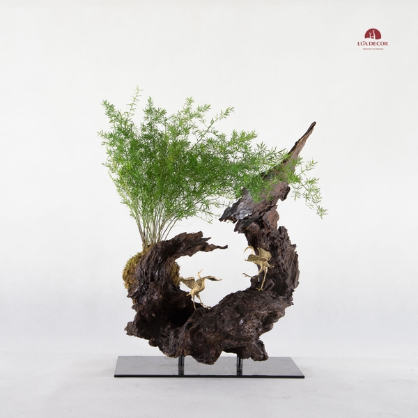 Tiểu cảnh thiền MN0020