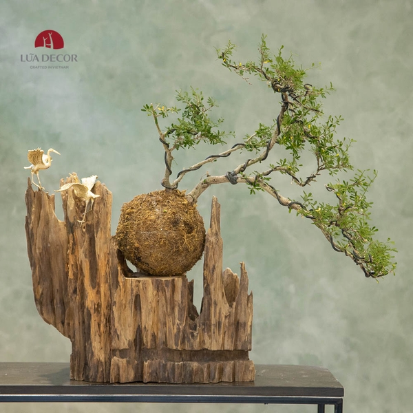 TIỂU CẢNH THIỀN MN0227