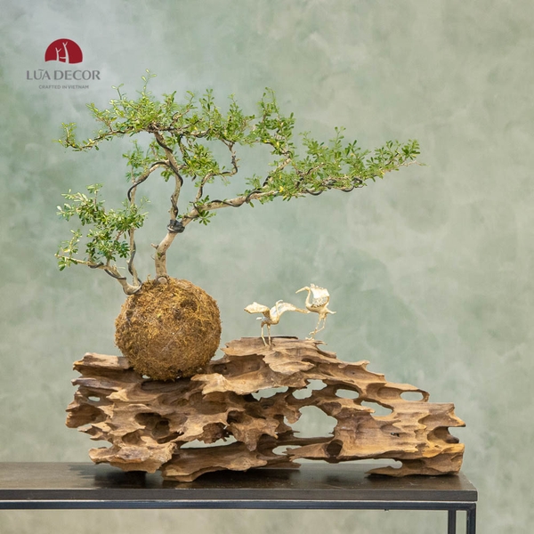 TIỂU CẢNH THIỀN MN0226