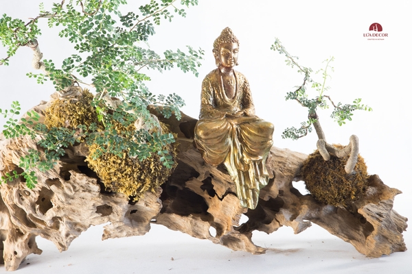 Tiểu Cảnh Thiền MN0063