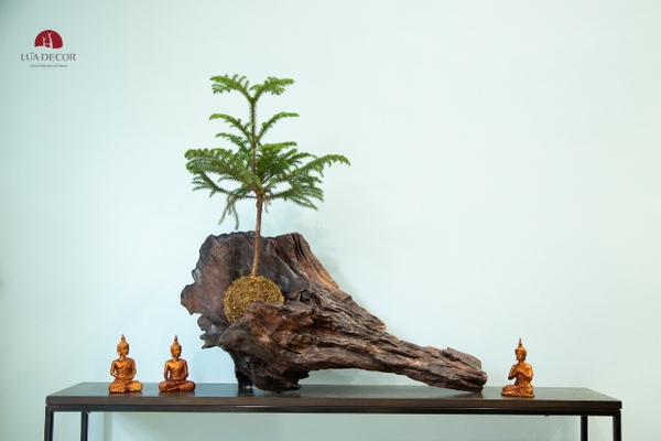TIỂU CẢNH THIỀN MN0242