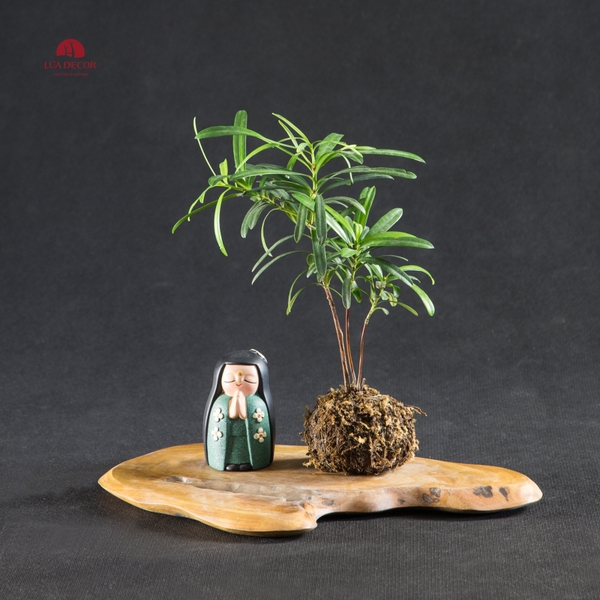 TIỂU CẢNH THIỀN MN0098