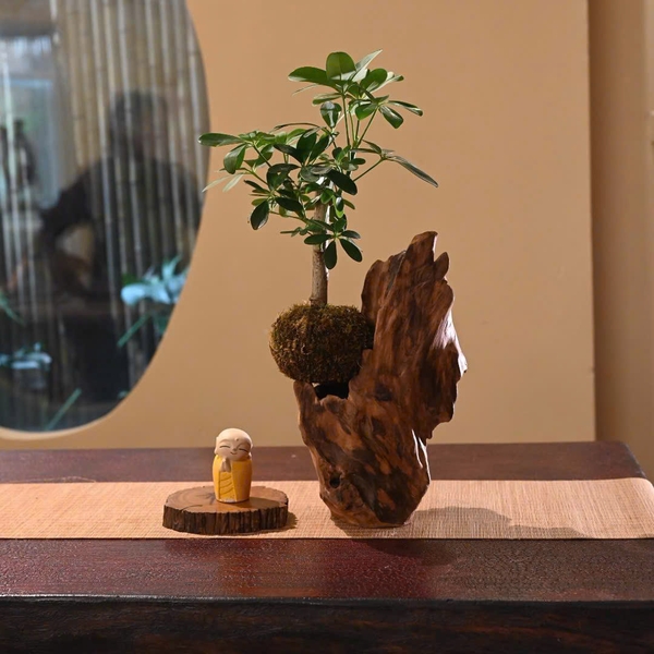 TIỂU CẢNH  TCNA0034