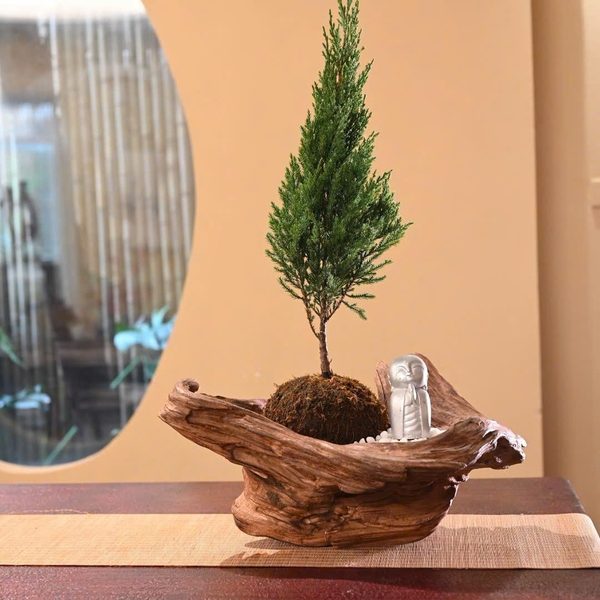 TIỂU CẢNH TCNA0035