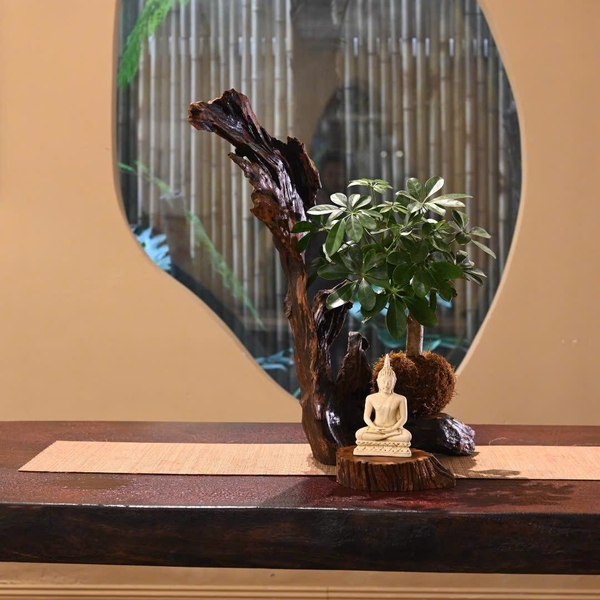 TIỂU CẢNH TCNA0036