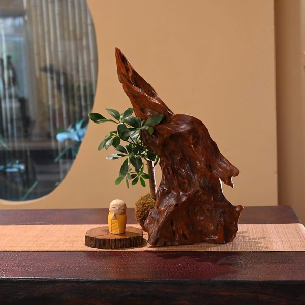 TIỂU CẢNH TCNA0038