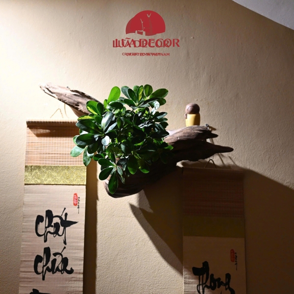 TIỂU CẢNH TCN0039