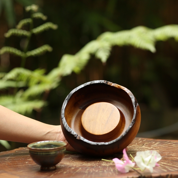 THUYỀN TRÀ TT0066