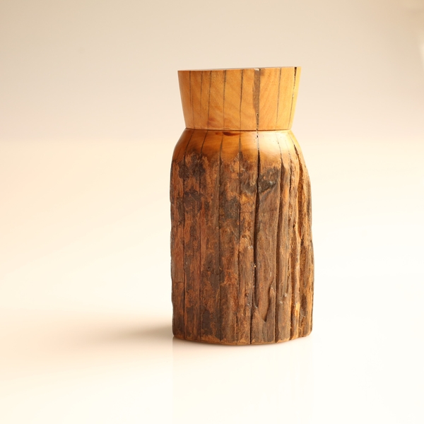 BÌNH LŨA BIN TRAI LÝ