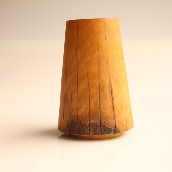 BÌNH LŨA TRAI LÝ CHỮ A