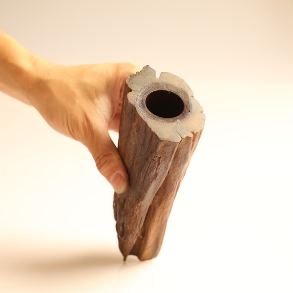 BÌNH LŨA BIN TRAI LÝ