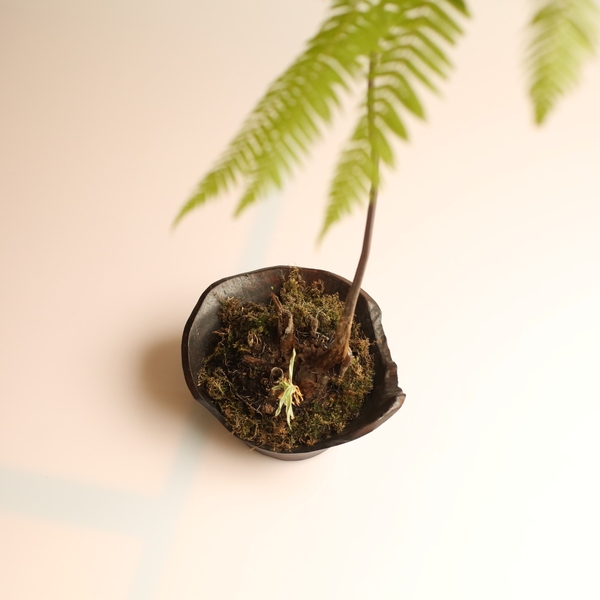 TIỂU CẢNH BTC001