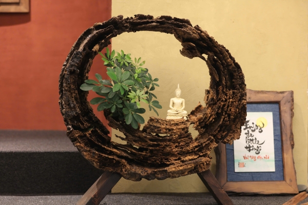 TIỂU CẢNH VÒNG TÂM