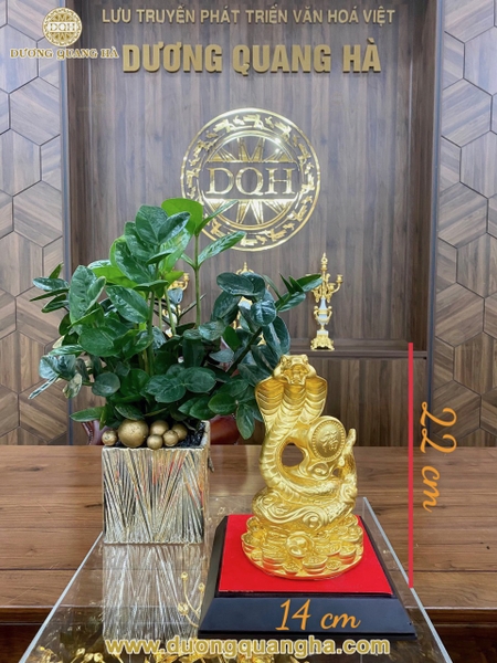 da-dang-cac-mau-linh-vat-tai-duong-quang-ha