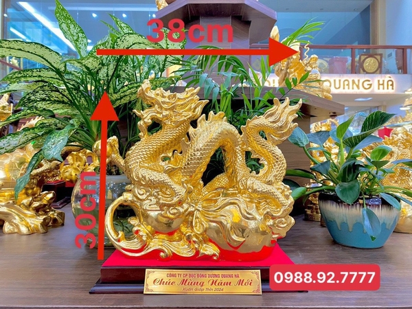 rong-ho-lo-dat-vang-9999