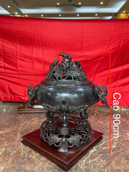 dinh-nho-soc-gia-co-cao-90cm