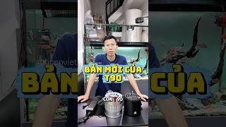 Review đèn Week T140 update mới nhất của T90
