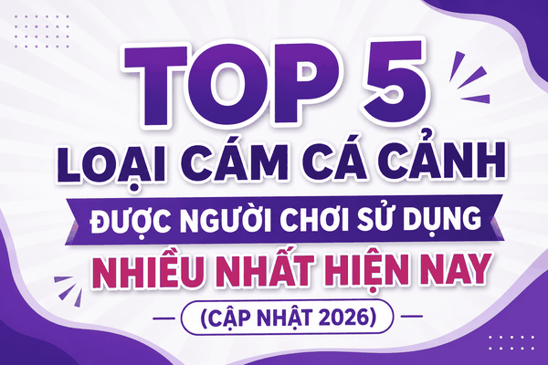 Top 5 loại cám cá cảnh được người chơi sử dụng nhiều nhất hiện nay (Cập nhật 2026)