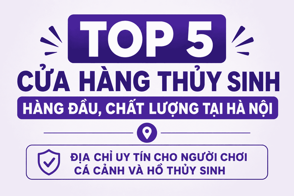 Top 5 cửa hàng thủy sinh hàng đầu, chất lượng tại Hà Nội – Địa chỉ uy tín cho người chơi cá cảnh và hồ thủy sinh