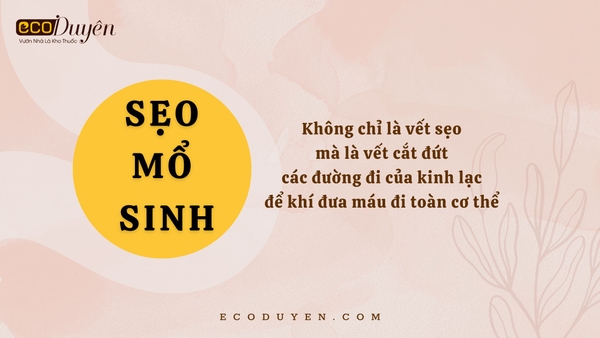 Sẹo mổ sinh - không chỉ là vết sẹo mà là vết cắt đứt các đường đi của kinh lạc để khí đưa máu đi toàn cơ thể