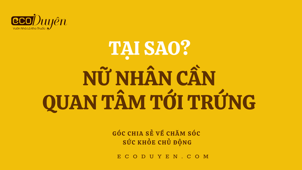 TẠI SAO NỮ NHÂN CẦN QUAN TÂM TỚI TRỨNG?