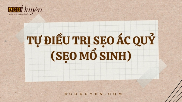 Tự điều trị sẹo ác quỷ (Sẹo mổ sinh)