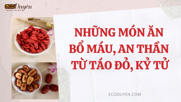 NHỮNG MÓN ĂN BỔ MÁU, AN THẦN TỪ TÁO ĐỎ, KỈ TỬ