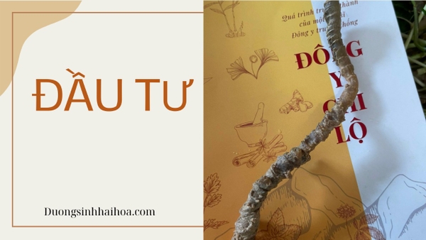 ĐẦU TƯ