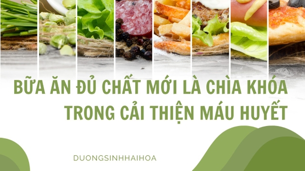 BỮA ĂN ĐỦ CHẤT MỚI LÀ CHÌA KHOÁ TRONG CẢI THIỆN MÁU HUYẾT